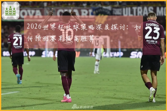 2026世界杯让球策略深度探讨：如何预测赛果提高胜算