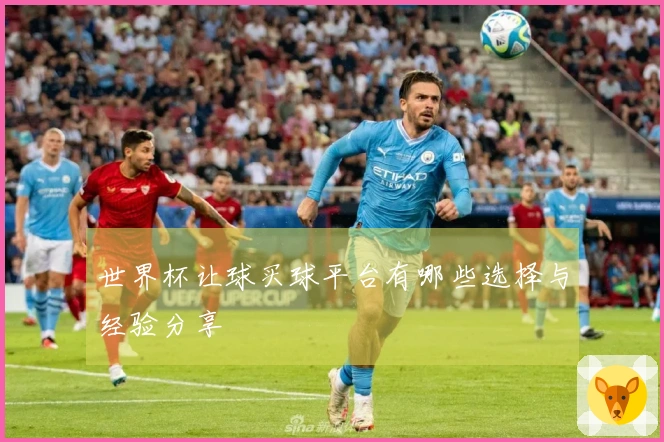 世界杯让球买球平台有哪些选择与经验分享