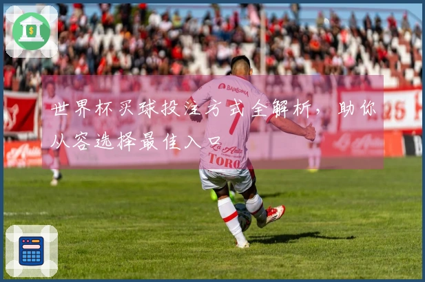 世界杯买球投注方式全解析，助你从容选择最佳入口