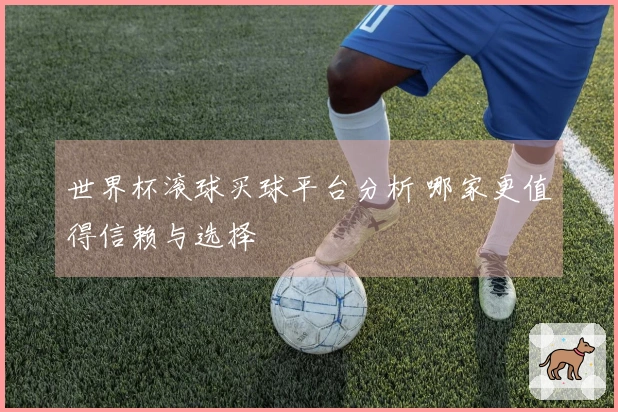 世界杯滚球买球平台分析 哪家更值得信赖与选择