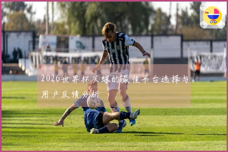 2026世界杯买球的最佳平台选择与用户反馈分析