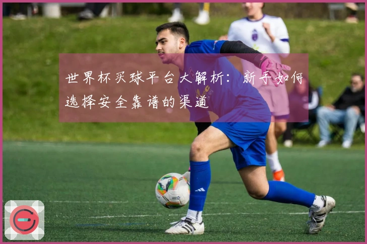 世界杯买球平台大解析：新手如何选择安全靠谱的渠道