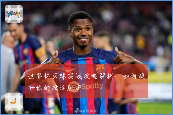 世界杯买球实战攻略解析，如何提升你的投注胜率