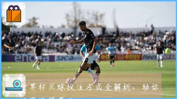 世界杯买球投注方式全解析，助你从容选择最佳入口