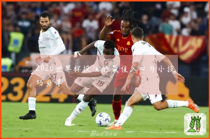 2026世界杯投注的最佳入口与小技巧分享
