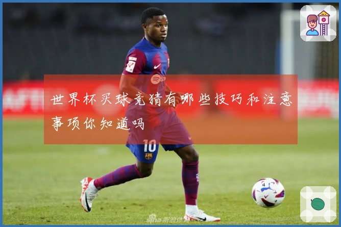 世界杯买球竞猜有哪些技巧和注意事项你知道吗