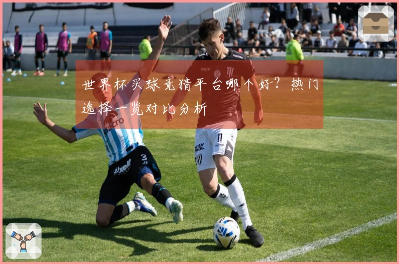 世界杯买球竞猜平台哪个好？热门选择一览对比分析