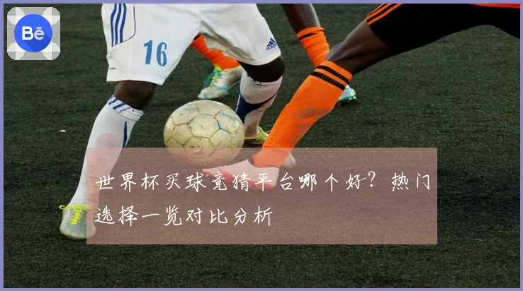 世界杯买球竞猜平台哪个好？热门选择一览对比分析