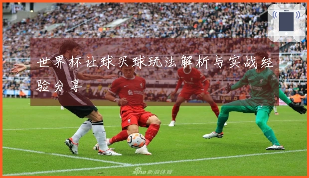 世界杯让球买球玩法解析与实战经验分享