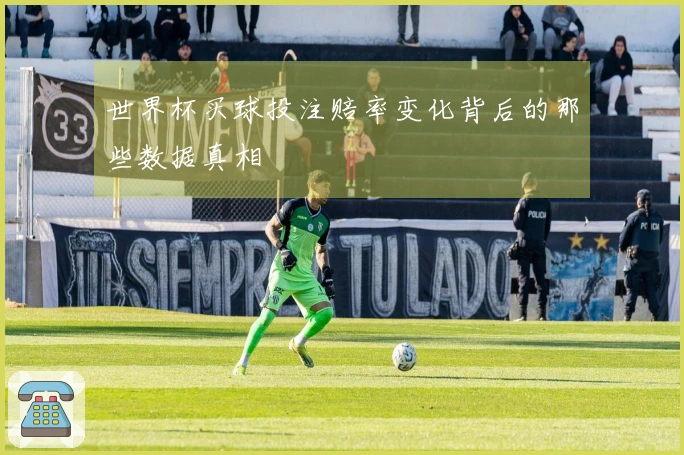 世界杯买球投注赔率变化背后的那些数据真相