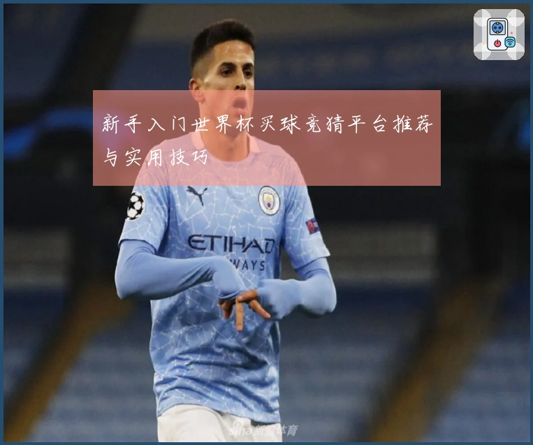 新手入门世界杯买球竞猜平台推荐与实用技巧
