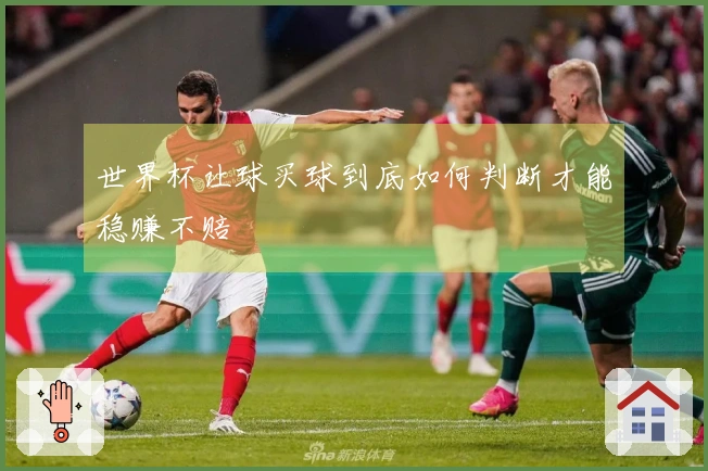 世界杯让球买球到底如何判断才能稳赚不赔