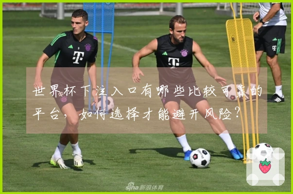 世界杯下注入口有哪些比较可靠的平台，如何选择才能避开风险？