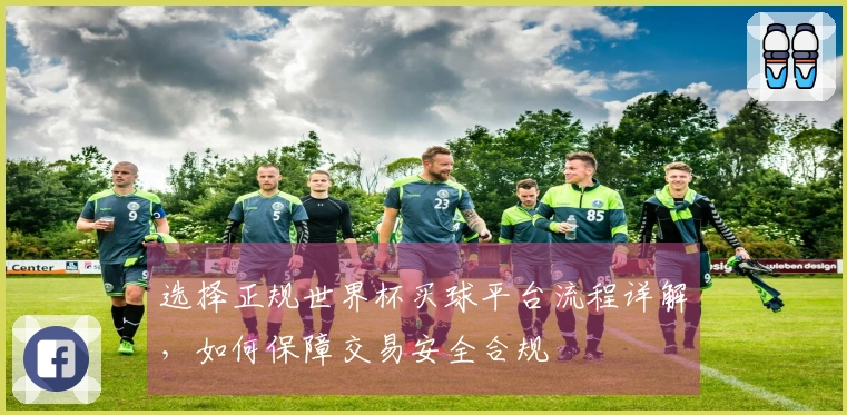 选择正规世界杯买球平台流程详解，如何保障交易安全合规