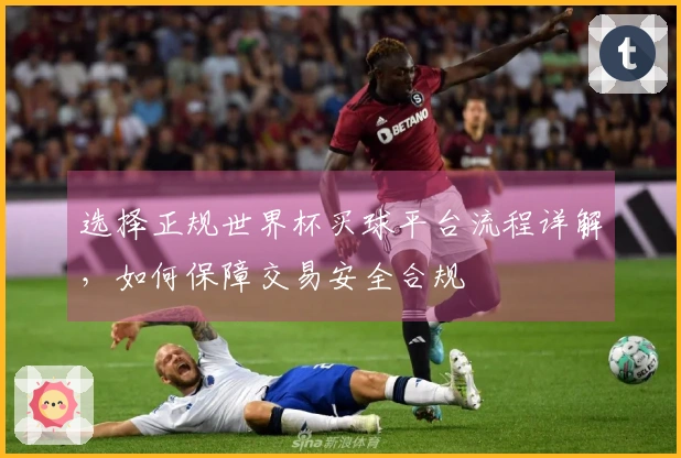 选择正规世界杯买球平台流程详解，如何保障交易安全合规