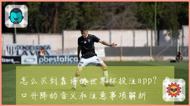 怎么买到靠谱的世界杯投注app？盘口升降的含义和注意事项解析