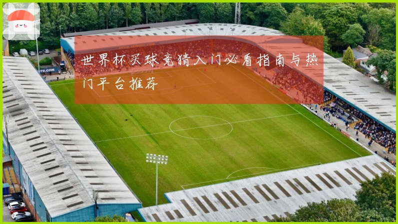 世界杯买球竞猜入门必看指南与热门平台推荐