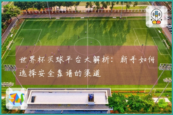 世界杯买球平台大解析：新手如何选择安全靠谱的渠道